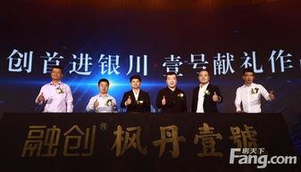 枫丹爆料1月份新闻,最新游戏动态与重大更新揭秘